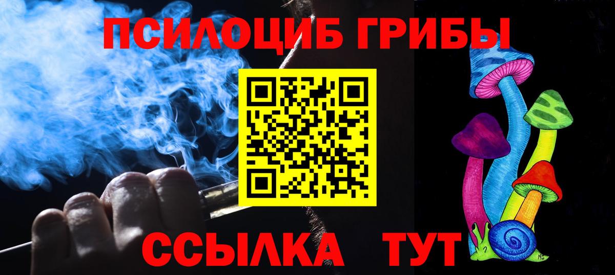 Псилоцибиновые грибы GOLDEN TEACHER Холмск